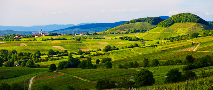 Un tour au Markgräflerland – La « Toscane allemande »