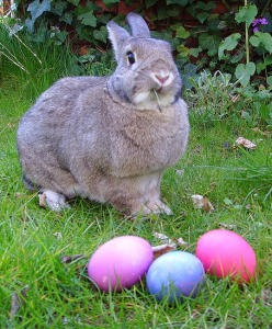 Le « Osterhase »